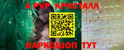 прущие грибы Канаш