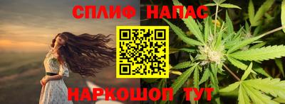 прущие грибы Канаш