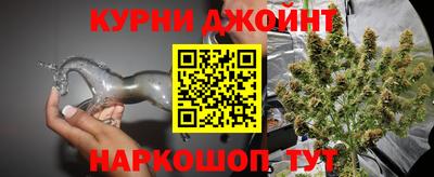 прущие грибы Канаш