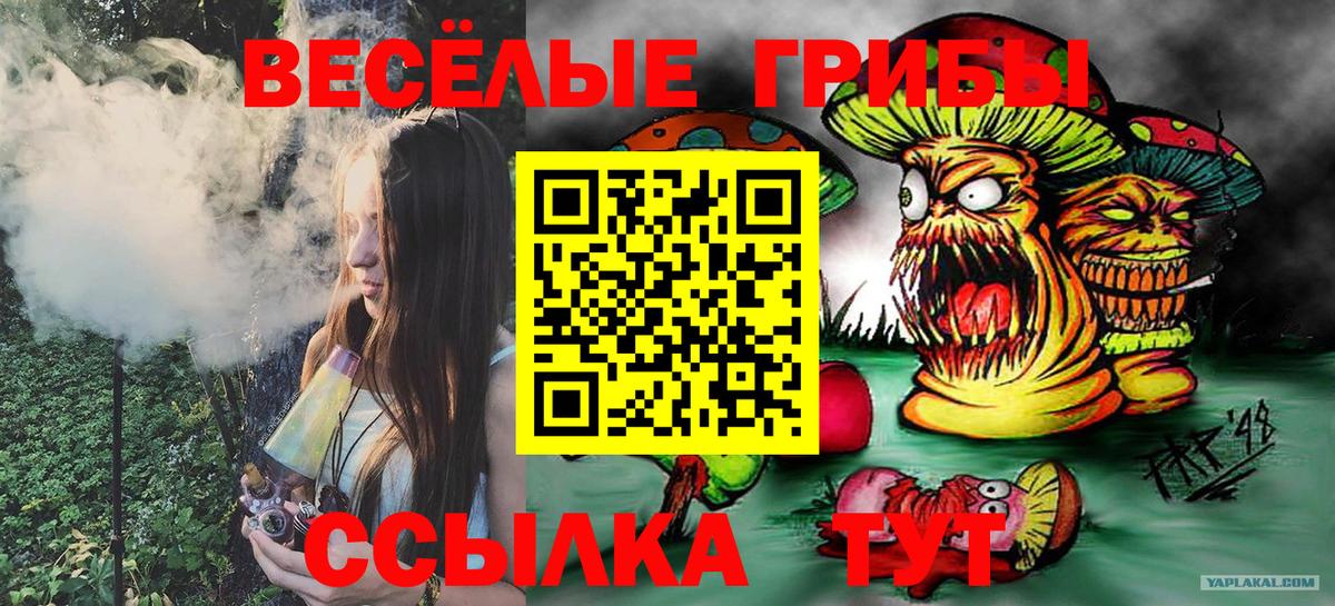 Галлюциногенные грибы GOLDEN TEACHER  Вход с VPN  Галлюциногенные грибы MAGIC MUSHROOMS  Лангепас 
