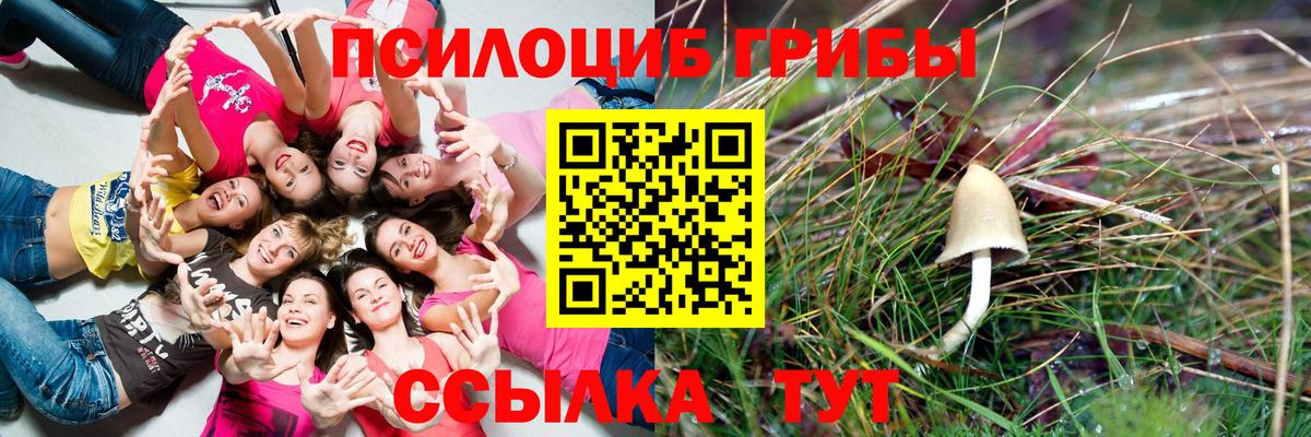 Галлюциногенные грибы Psilocybine cubensis Лангепас