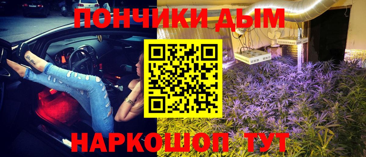 Шишки марихуана конопля Лангепас